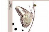 "Contos reunidos", de Vladimir Nabokov